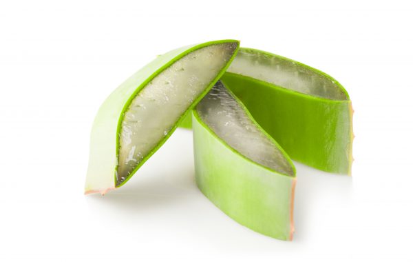 Aloe Vera – Hydra und Entschlackung