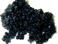Caviar-Power Deluxe Anti-Aging