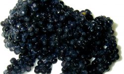 Caviar-Power Deluxe Anti-Aging