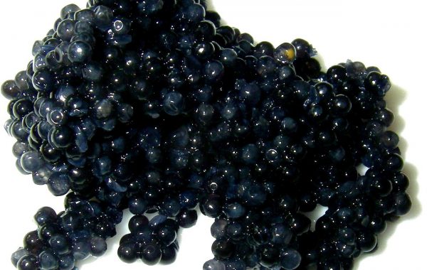 Caviar-Power Deluxe Anti-Aging